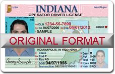 indiana drivers license template